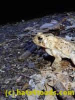 /home//u458753944/public_html/sourcegallery///////////////////////////////////////////////////////////McKaig Nature Center/2020-09-27/P9270710.JPG